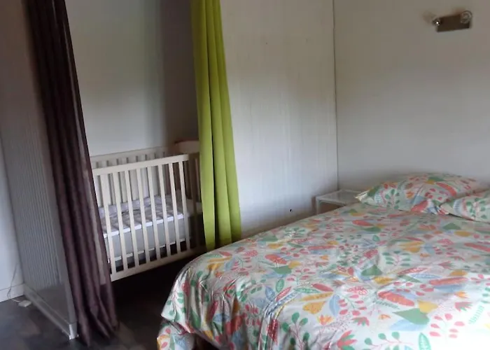 Maison Independante Sur Grand Terrain Clos